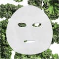 Garnier SkinActive Kale Niacinamide Sheet Mask 15g