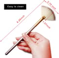 Facial Fan Mask Brush 5 Pack