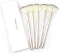 Facial Fan Mask Brush 5 Pack