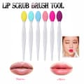 Lip Scrub and Face Mask Brush Set 8 Piece