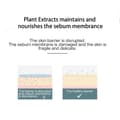 Super Hydrating Face Cream