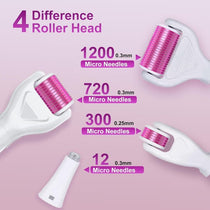 Stainless Steel Derma Roller Kit 6 In 1