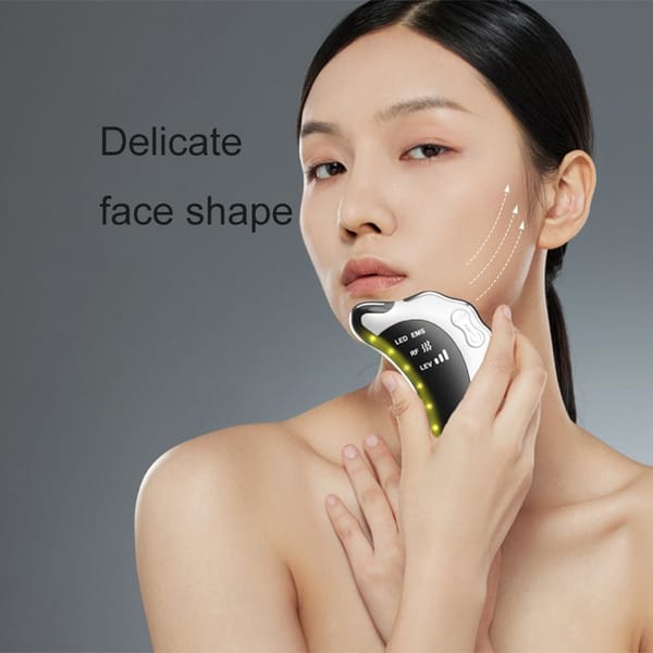 EMS RF Microcurrent Facial Device