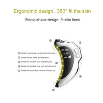 EMS RF Microcurrent Facial Device